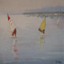 Planches à voile 